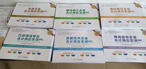 实操行业账资料