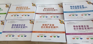 实操行业账资料