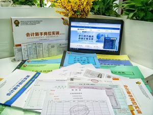 会计实操资料图